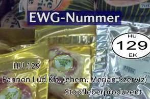 vierpfoten.de