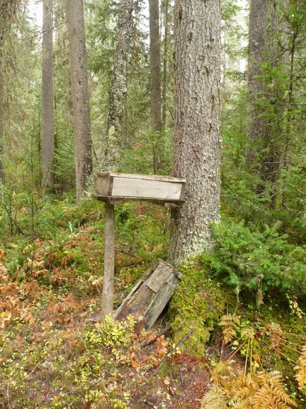 oldsquirreltrapsclosetocabin2.jpg