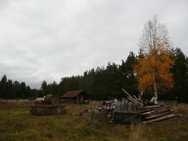 shorttriptothesmallpartofthezapovednik.jpg